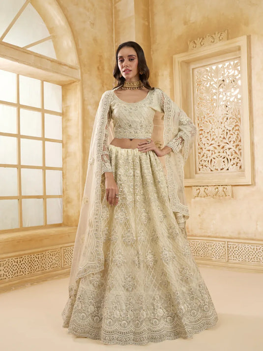 Ivory Net Embroidered Lehenga with Stone & Cording Work